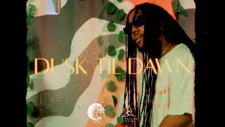 Royal Blu, Island.Wav - Dusk Til Dawn (Visualizer)
