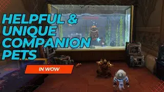 Helpful and unique companion pets in WOW