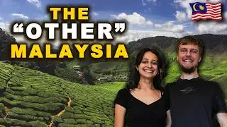 Best Natural ESCAPE In A BOOMING Malaysia | CAMERON HIGHLANDS 4K