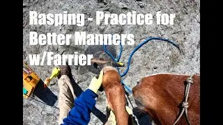 Aaron 2025 12 31 Rasping   Farrier Practice
