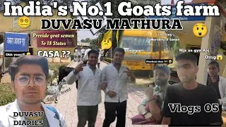 Best Goat farm in India's | Duvasu mathura | semen analysis and certification lab | vlog 05 | vet 💯🔥