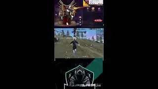 Live streaming of VDR GAMING 1M
