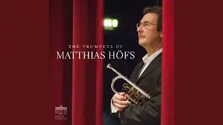 Trumpet Concerto in E-Flat Major, Hob.VIIe:1: III. Finale. Allegro