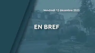 En bref