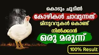 Heat stress in Broiler chickens | ഈ വേനൽ ചൂടിൽ നിന്ന് കോഴികളെ രക്ഷിക്കാം | Poultry Media