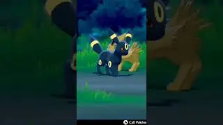 Jolteon runs up to say hi