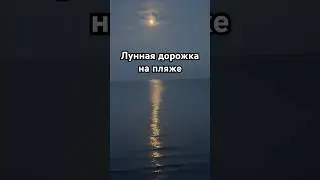 Лунная дорожка на пляже. Moonlight path on the beach. #summer #travel #moonlight #лето #природа