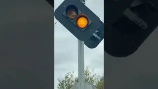 Cls traffic light wig wag crossing LED