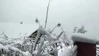 SNOWFALL VIDEO ❤️❤️
