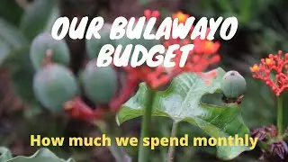 How much we are spending monthly in Bulawayo| Comparing our monthly costs to San Diego