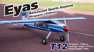 DwHobby T12 Balsawood 1200mm Wingspan Light Wood Electronic RC Airplane KIT PNP