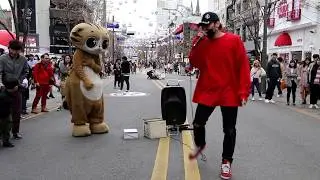 JHKTV] 명물고양이 와 디오비 special cat & dob introduce