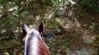 Cross Country Solo Horse Ride and Camping  Day 5