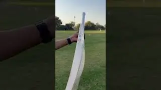 SS PRO 1.0 English Willow Bat | Cricket Bat | Ping Test | Cricket #cricket