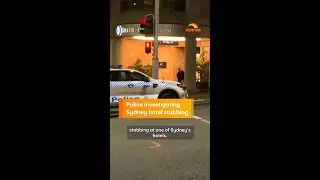 Sydney hotel stabbing.