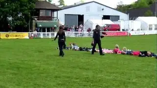 HAWKSDRIFT FALCONRY DISPLAY.