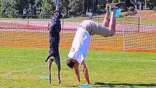 Amazing Frisbee Dog Trick!