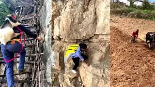 Hardest Rural life on cliff village| Most dangerous road| China rural village daily life