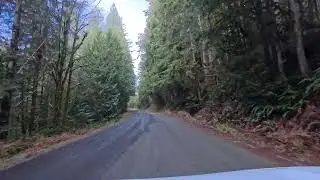 2026-01-20 - 10:38am - North Cascades National Park - Cascade River Rd