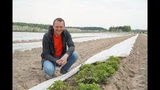 #2 Relacja z plantacji maliny jesiennej - Goszczyn, 29.04.2020