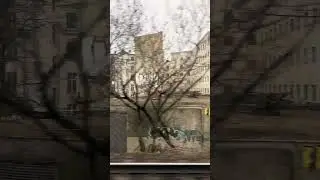 The quiet rhythm of winter streets in Warsaw