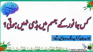 Sawal Jawab - Islamic Questions And Answers - Urdu Paheliyan - Riddles Hindi @zkrriddles 