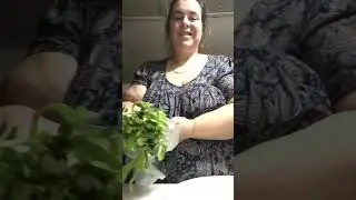 Ashley's Homemade Apple/Cranberry Stuffing