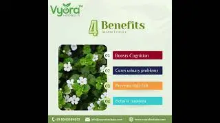 Brahmi extract