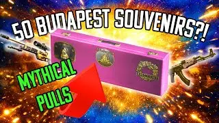 ARE SOUVENIR CASES ACTUALLY GOOD?!?!?
