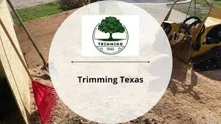 Tree Service in Georgetown, Texas | Trimming Texas