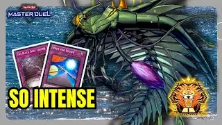 6 Insane Duels for Master 1 | Paleozoic Master Duel