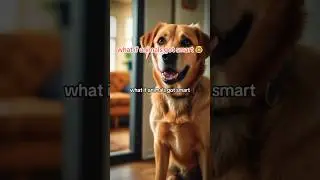 What If Animals Got Smart? 🐶🧠 #shortsfeed #ytshorts