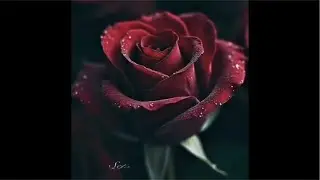 Sevde Okutan Alkan kanalı#kesfet #ytdayibenionecikarnolur #canliyayin #live #fypシ゚viral #&ouml;ne&ccedil;ıkar
