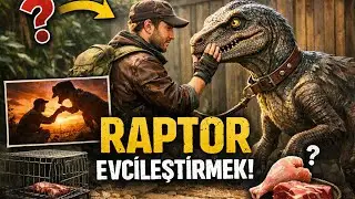Raptor nasıl evcileştirilir | kitin creatin kasma takiği 