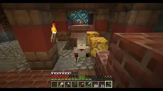 Minecraft extremo encontrando miles de aldeas y sitios raros pero no mi casa