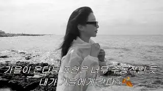 EP08. 가을이 오면 (서울패션위크, 1박2일 제주도 여행, 성수동 나들이, 겟레디윗미)