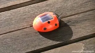 SOL-EXPERT Solar Gl&uuml;cksk&auml;fer