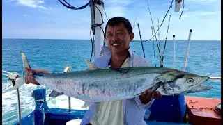 Deep Sea Fishing, Penang to Malacca Straits, April 2015. King Mackerel, Dolphins and Beautiful Sea