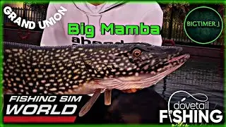 Black Mamba - Grand Union Canal - Fishing Sim World 🎣