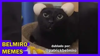 Belmiro Memes: Melhores dublagens engra&ccedil;adas da semana 99