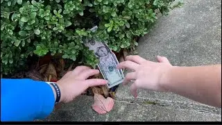 How much money can we find on the ground