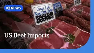 Cattle industry demands review into lifting of US beef import restrictions | ABC NEWS