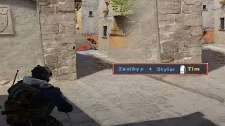 #CS2 - Smoke Grenade Kill to the Knee!