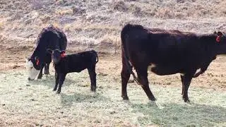 The changing landscape of agriculture in Summit County