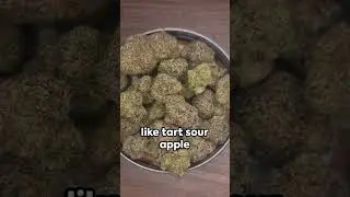 Apple Tartz Cannabis Strain  - Golden Leaf Strain of the Month