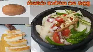 වකුගඩු සුවපත් කරන මුත්‍ර රෝග වලට ගුණ දෙන තියඹරා මාළුවක් රසට හදමු/Thiyamara Curry/Healthy Curry
