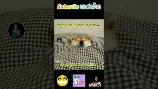 sinhala Funny meme 🤣🤣#rap #dj #love #remix #party #song #aluthsong