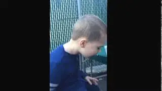 Boy drops ice cream