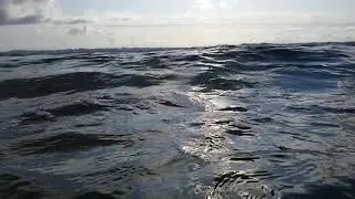 Slow mOCEAN!
