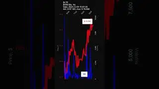 BLTE, Belite Bio, Inc, stock prices dynamics, stock of the day #BLTE